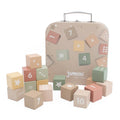 Jumini Counting & Learning Blocks