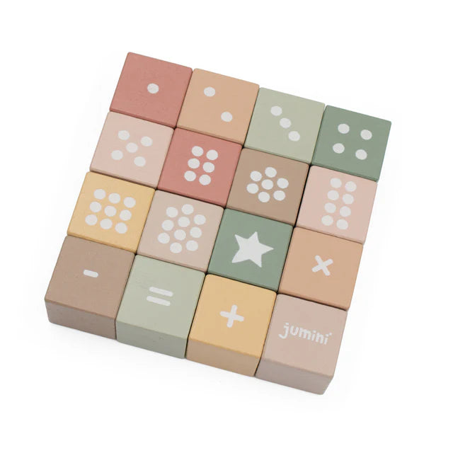 Jumini Counting & Learning Blocks