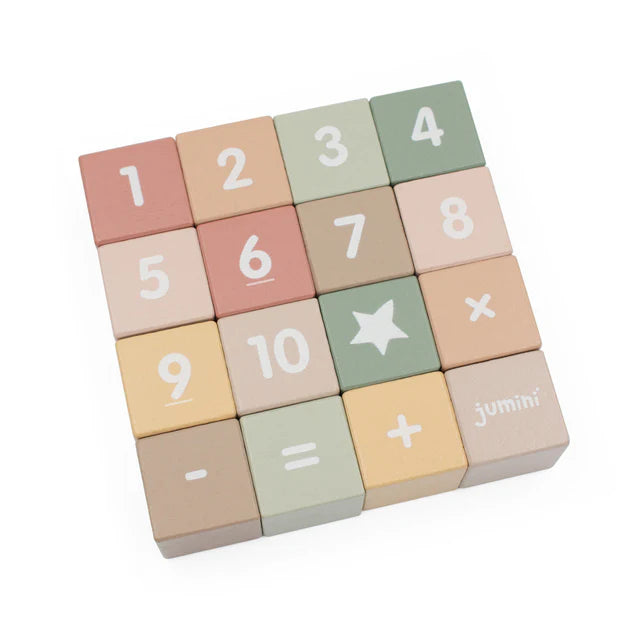 Jumini Counting & Learning Blocks